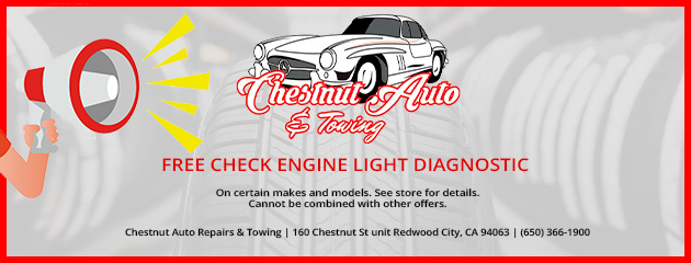 Free Check Engine Light Diagnostic